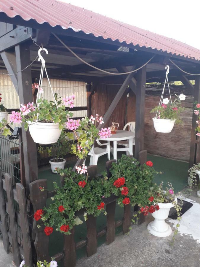 Apartments Hrga Пула Екстериор снимка